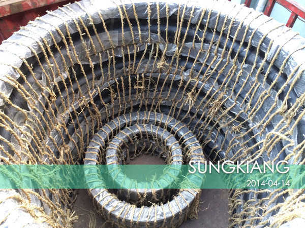 ���ɶ������߸G��ˮ̎��S����ڏ����z���^����