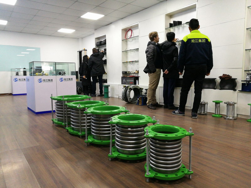 德國友人參觀上海淞江減震器集團 德國友人參觀上海淞江減震器集團