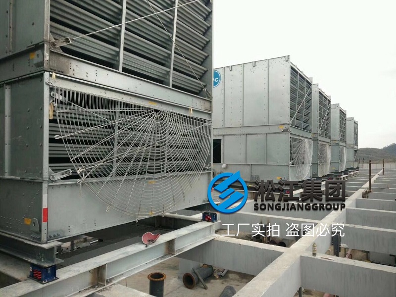 SHM�͏��ɜp��������BAC������s�����b�F��