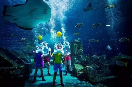 “漲知識”淺談海洋館維生系統 “漲知識”淺談海洋館維生系統