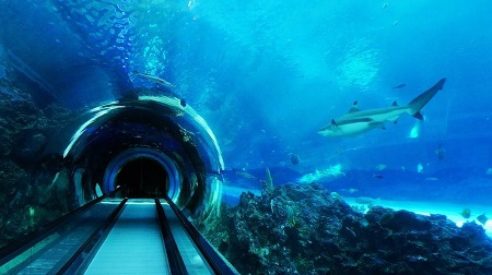 海洋館維生系統設備操作步驟 海洋館維生系統設備操作步驟