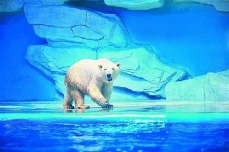 如何打造海洋極地世界維生系統？