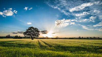 靈敏設備地板振動規(guī)范表